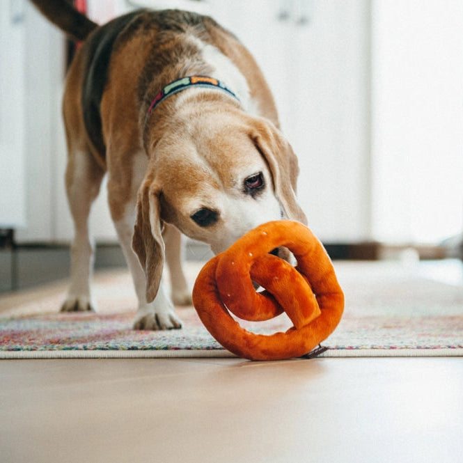 Dog playing with a knot toy on a wooden floor