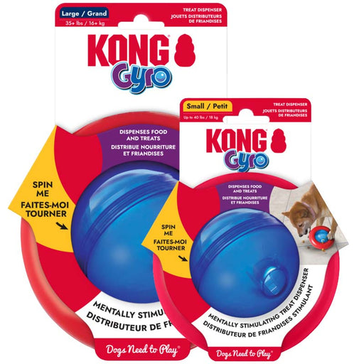 Two Kong Gyro treat dispenser toys for dogs, one large blue ball and one small blue ball, each in its own retail packaging. The packaging features the Kong Cito logo, product details in English and French, and a small photo of a dog on the right package.