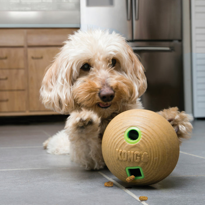 Dog playing with a KONG toy in a kitchen
