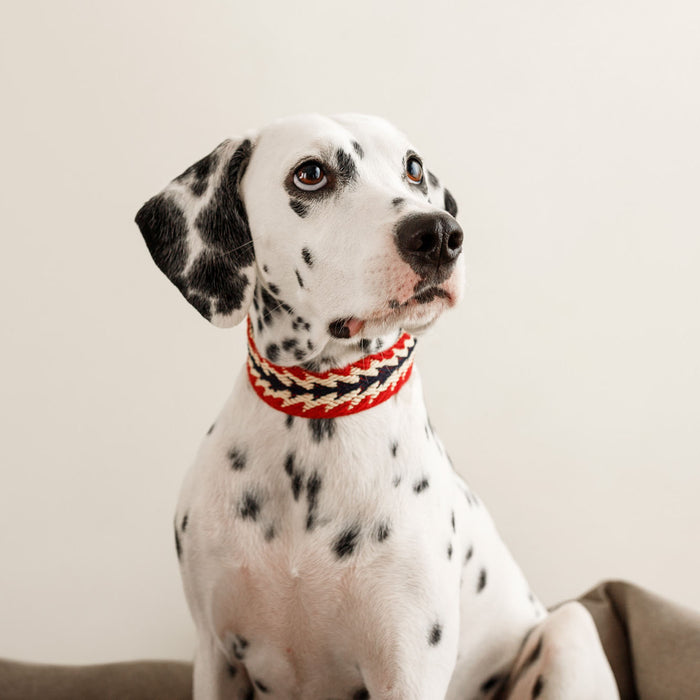 Buddys Dogwear Peruvian Arrow Red Dog Collar