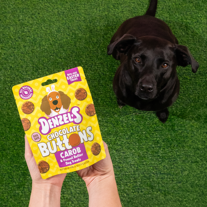 Denzel's Easter Chocolate Buttons Dog Treats - 90g