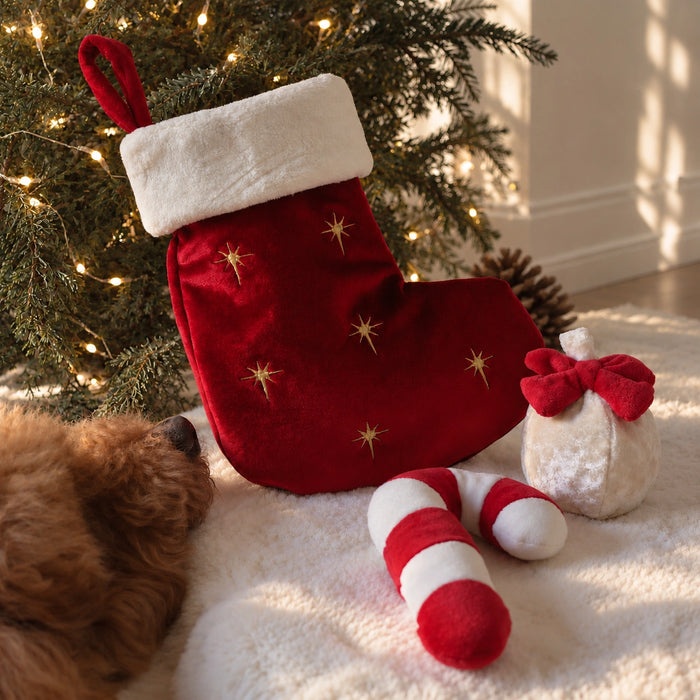 Pups & Bubs Christmas Dog Toy - Stocking