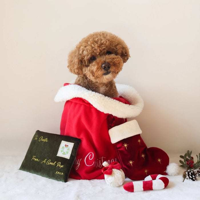 Pups & Bubs Christmas Dog Toy - Stocking