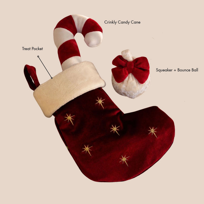 Pups & Bubs Christmas Dog Toy - Stocking
