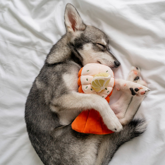 Pups & Bubs Grilled Lobster Interactive Dog Toy