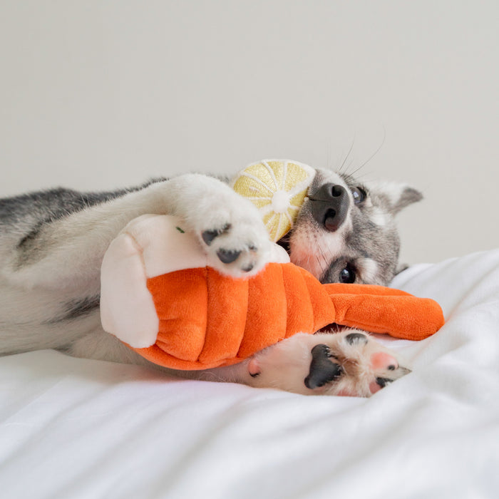 Pups & Bubs Grilled Lobster Interactive Dog Toy