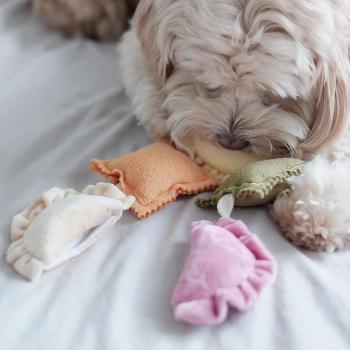 Pups & Bubs Ravioli Pasta Interactive Dog Toy