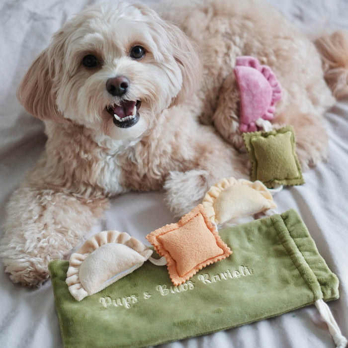 Pups & Bubs Ravioli Pasta Interactive Dog Toy