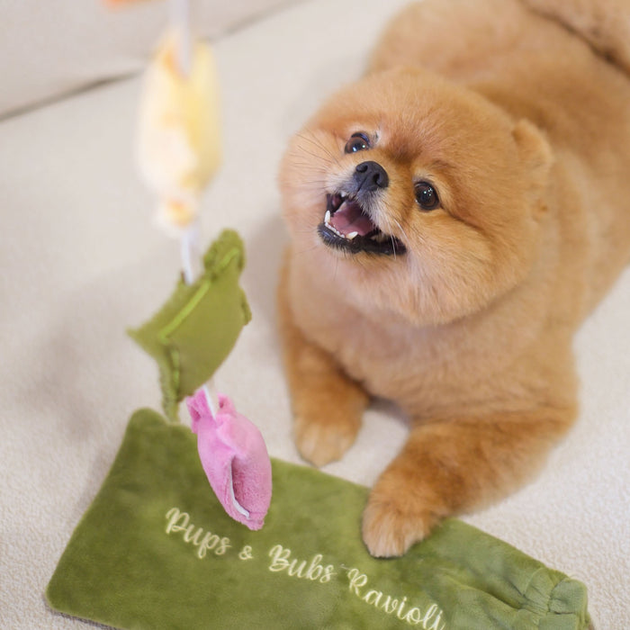 Pups & Bubs Ravioli Pasta Interactive Dog Toy