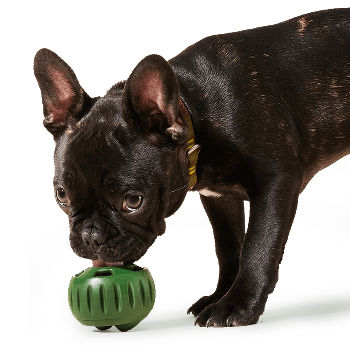Green Pupsicle Enrichment & Durable Treat Dispenser Toy for Dogs + Treat Tray Combo - 3 Sizes