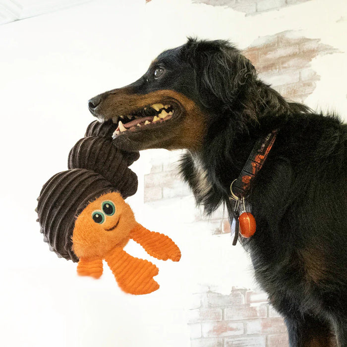 Dog playing with a toy resembling a crabagainst a light-colored wall.
