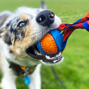 Wildly Stimulating Toys For Outdoor Play