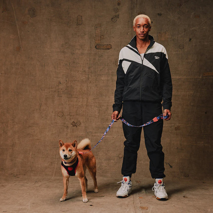 Reebok X Zee.Dog Adjustable Air Mesh Harness for Dogs - Court