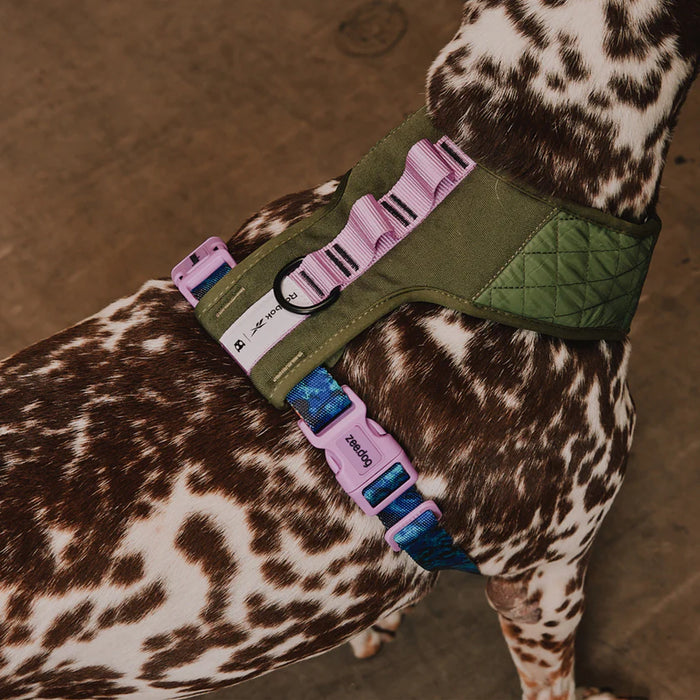 Reebok X Zee.Dog Adjustable Air Mesh Harness for Dogs - Trekk
