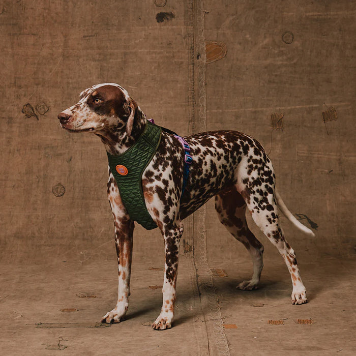 Reebok X Zee.Dog Adjustable Air Mesh Harness for Dogs - Trekk