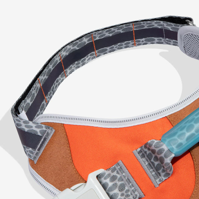 Reebok X Zee.Dog Suede FlyHarness