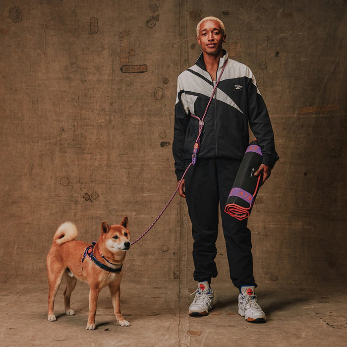 Reebok X Zee.Dog Hands-Free Lead - Court