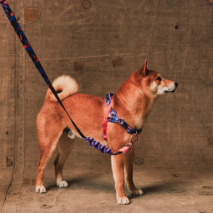 Reebok X Zee.Dog Court SofterWalk Harness