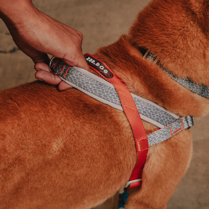 Reebok X Zee.Dog Suede SofterWalk Harness