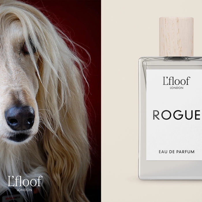 ROGUE Rose & Smokey Oud Wood, Dog Perfume Fragrance Spray - 100ml