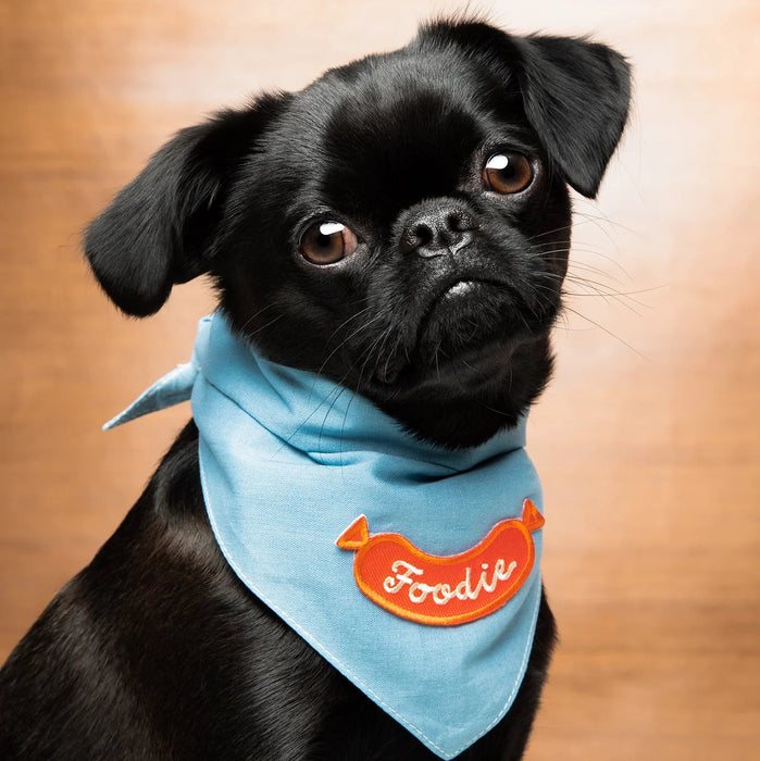 Scout's Honour, Foodie, Iron-On Patch for Pets