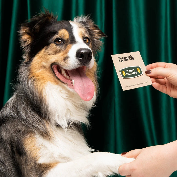 Scout's Honour, Trail Buddy, Iron-On Patch for Pets