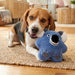 Dog lying on a rug with a blue plush toy resembling a character from a movie.
