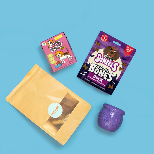 A dog treat bundle featuring a kraft paper pouch with a clear window, a pink box of Furry Feast Furry Feast treats, a purple bag of Denzel's Spooky Bones Duck, and a purple ceramic duck toy, arranged on a solid light blue background.