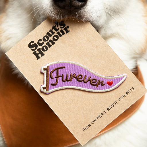 Dog holding a patch with 'Scout's Honour Forever' text and design.