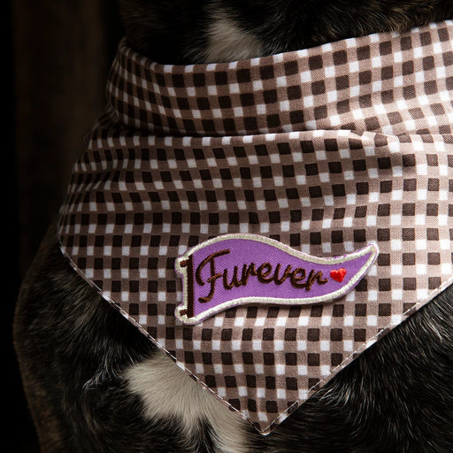Dog wearing a checkered bandana with a 'I Furever' patch on a dark background