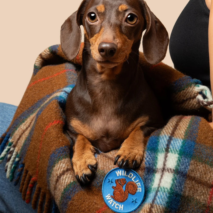 Scout's Honour, Wildlife Watch, Iron On Patch for Pets