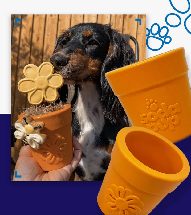 Flower Pot Durable Rubber Treat Dispenser & Enrichment Toy for Dogs