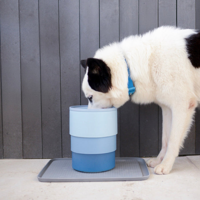 Zee.Dog Zee.Bowl - Blue