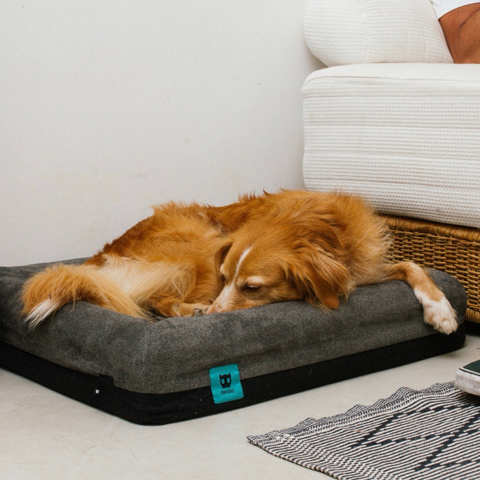 Zee.Dog Zee.Bed Skull 2.0 Dog Bed