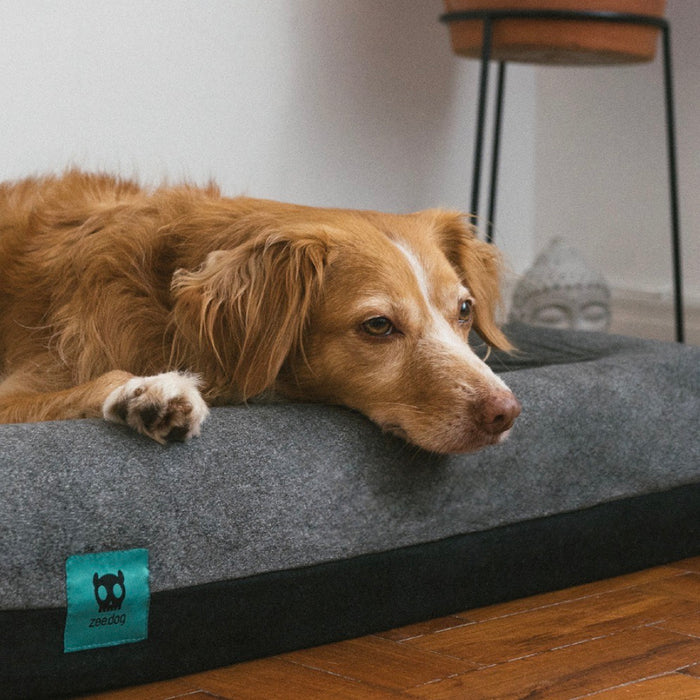 Zee.Dog Zee.Bed Skull 2.0 Dog Bed