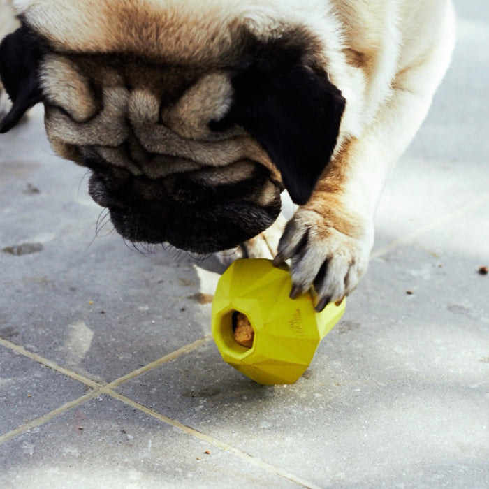 Zee.Dog Super Pear Toy