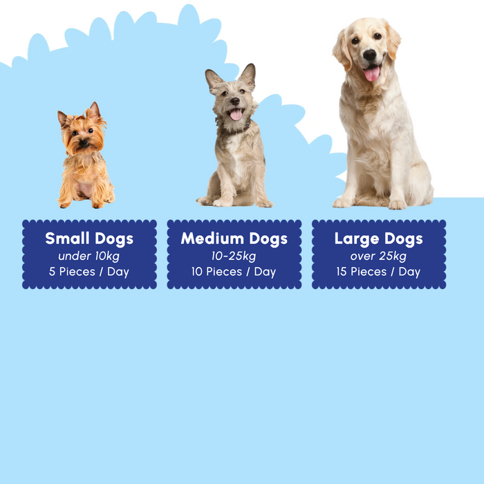 A dog-portion guide graphic showing three dogs of different sizes labeled Small Dogs, Medium Dogs, and Large Dogs with weight ranges and recommended daily piece counts on a light blue background.