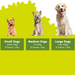 A dog portion guide graphic showing three dogs of different sizes under a green leafy silhouette, with labels for Small Dogs, Medium Dogs, and Large Dogs and recommended daily piece counts.