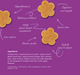 A purple informational graphic showing several tan chickpea flour cookies with white handwritten-style text calling out benefits like hypoallergenic, nothing artificial, 100% plant-based ingredients, grain-free, low calorie, human grade, and safe & easy to digest. An ingredients list appears in the bottom left corner.