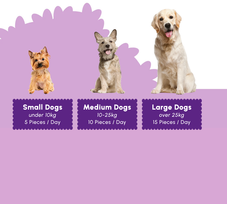 A dog dosage chart graphic with three dogs of different sizes (a terrier, a mixed breed, and a golden retriever) above three purple boxes labeled Small Dogs, Medium Dogs, and Large Dogs with weight and piece-count information.