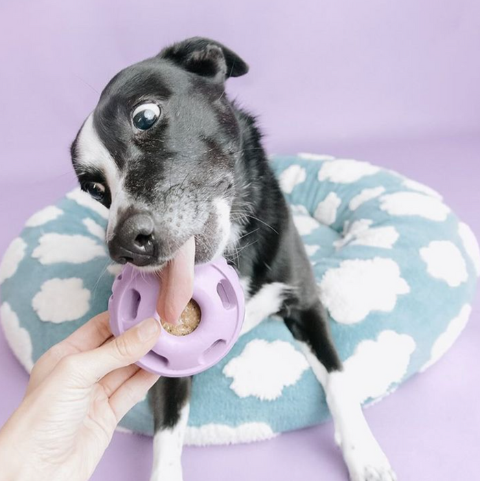 Woof Lavender Pupsicle Toy + Treat Tray Combo