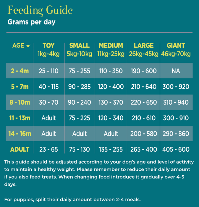 The Innocent Hound From The Coast, Atlantic Salmon Air-Dried Dog Food - 1kg