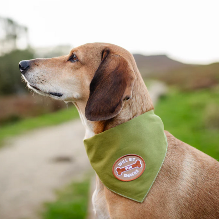 Scout's Honour, Will Sit for Snacks, Iron-On Patch for Pets