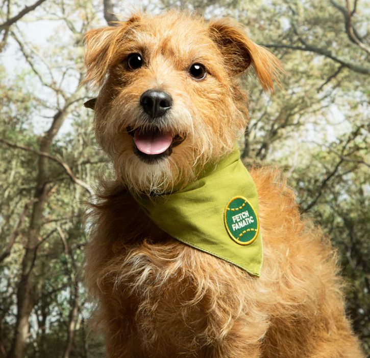 Scout's Honour, Fetch Fanatic, Iron-On Patch for Pets