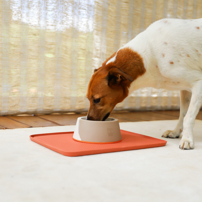Zee.Dog Desert Melamine Bowl