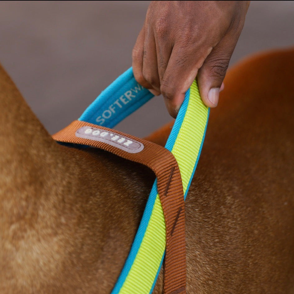 Zee.Dog Avocado Softer-Walk Dog Harness - ZeeDog | WOOOF.co.uk