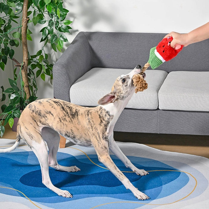 Dog playing with a watermelon-shaped chew toy in a living room.