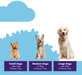 A dog food portion guide graphic showing three dogs of different sizes (a terrier, a mixed breed, and a golden retriever) against a light blue and white background, with three purple boxes indicating the recommended daily piece counts for small, medium, and large dogs.