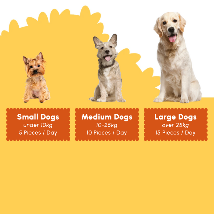 A dog-feeding information graphic with three dogs shown from left to right labeled as Small Dogs, Medium Dogs, and Large Dogs, with text indicating weight ranges and daily piece counts on a yellow and white background.
