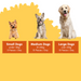 A dog-feeding information graphic with three dogs shown from left to right labeled as Small Dogs, Medium Dogs, and Large Dogs, with text indicating weight ranges and daily piece counts on a yellow and white background.